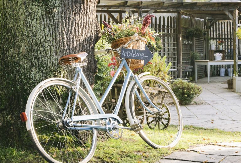 bike-768×522